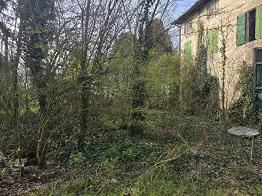 Immagine 6 di Rustico / casale in vendita  in SS 468 MOTTA a Carpi