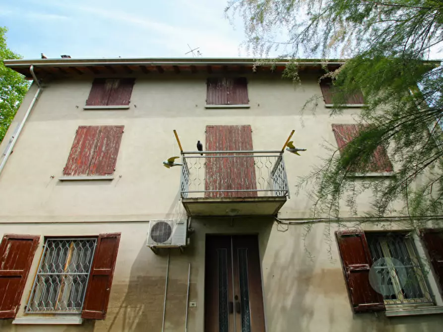 Immagine 4 di Rustico / casale in vendita  in Via Balduina a Rio Saliceto