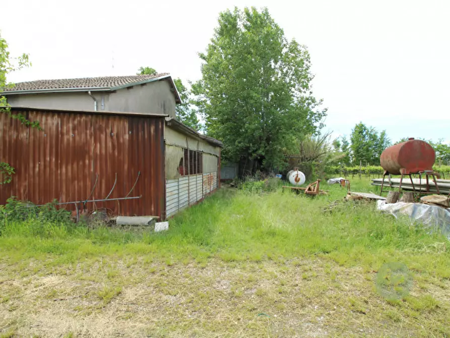 Immagine 6 di Rustico / casale in vendita  in Via Balduina a Rio Saliceto