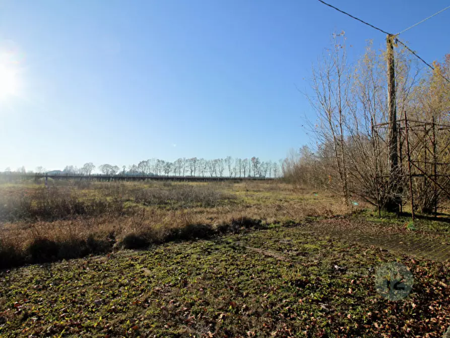 Immagine 3 di Terreno in vendita  in Via Picenardi a Campagnola Emilia