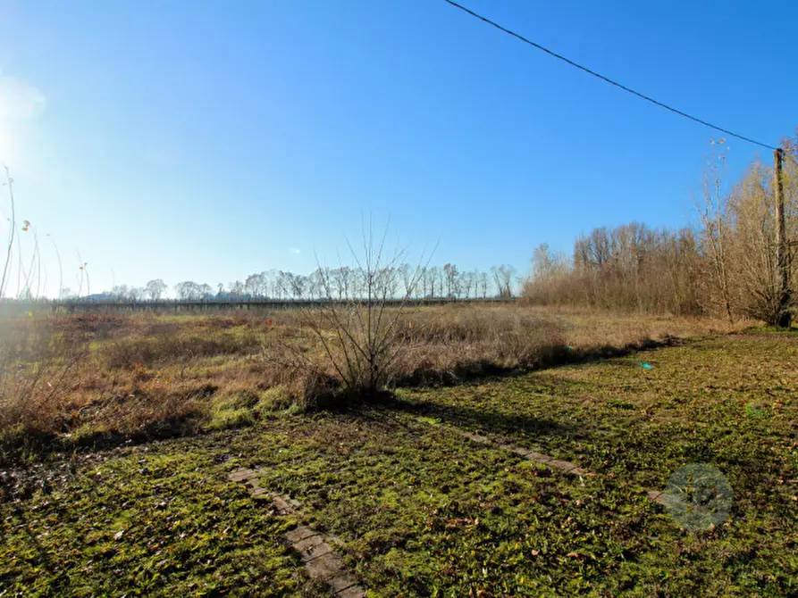 Immagine 4 di Terreno in vendita  in Via Picenardi a Campagnola Emilia