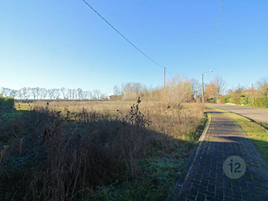 Immagine 6 di Terreno in vendita  in Via Picenardi a Campagnola Emilia