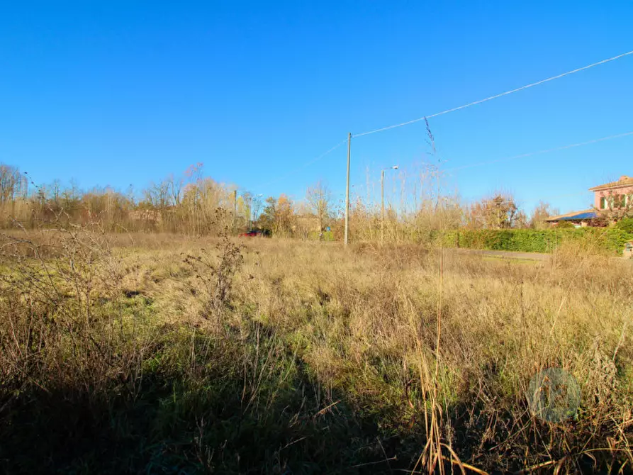 Immagine 8 di Terreno in vendita  in Via Picenardi a Campagnola Emilia