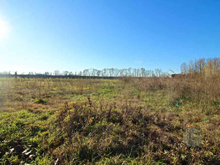 Immagine 9 di Terreno in vendita  in Via Picenardi a Campagnola Emilia