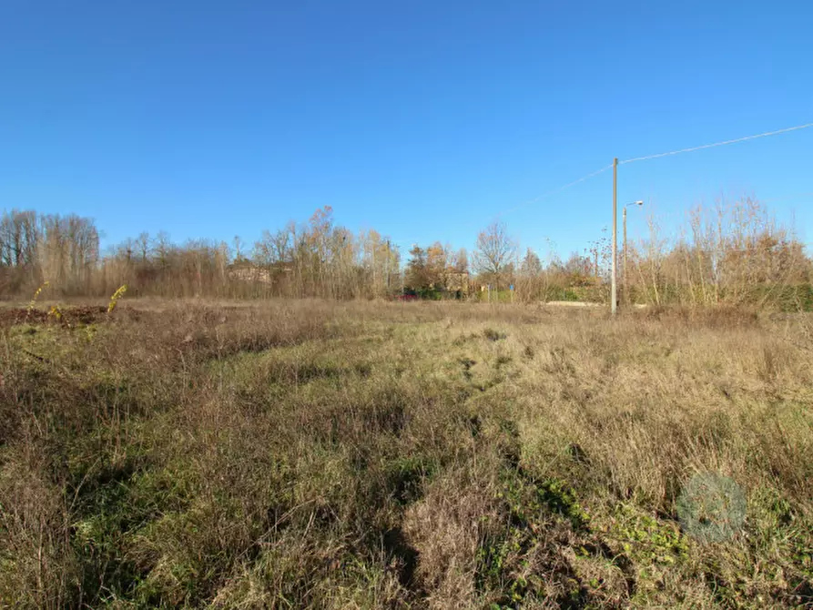 Immagine 10 di Terreno in vendita  in Via Picenardi a Campagnola Emilia