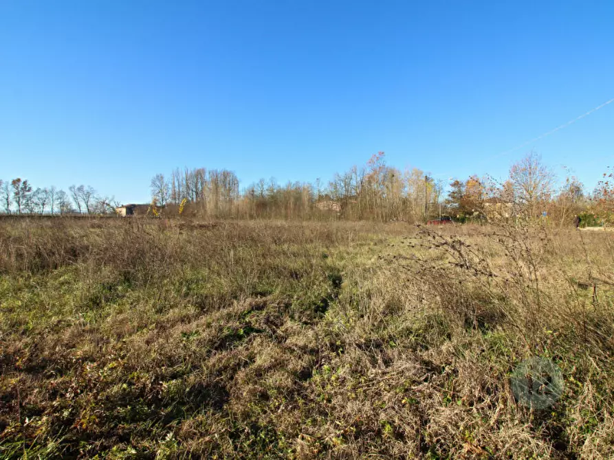 Immagine 14 di Terreno in vendita  in Via Picenardi a Campagnola Emilia