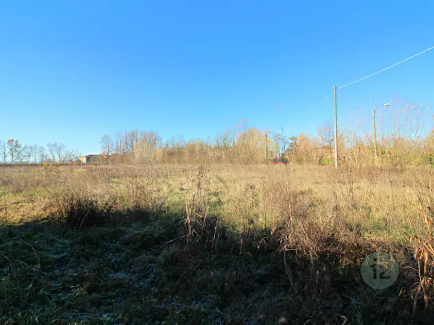 Immagine 15 di Terreno in vendita  in Via Picenardi a Campagnola Emilia