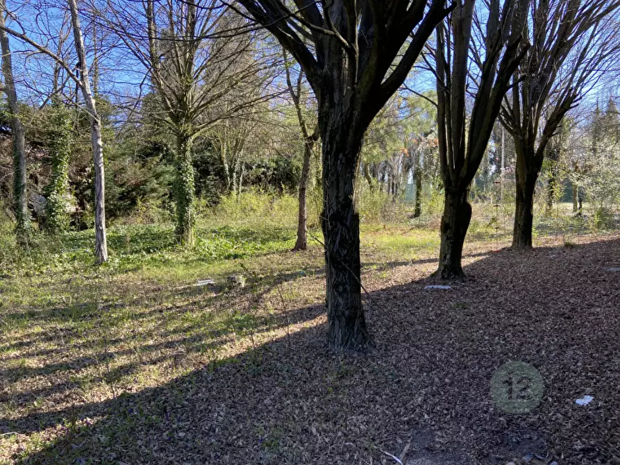 Immagine 2 di Terreno in vendita  in Via San Giorgio 1 a Rio Saliceto