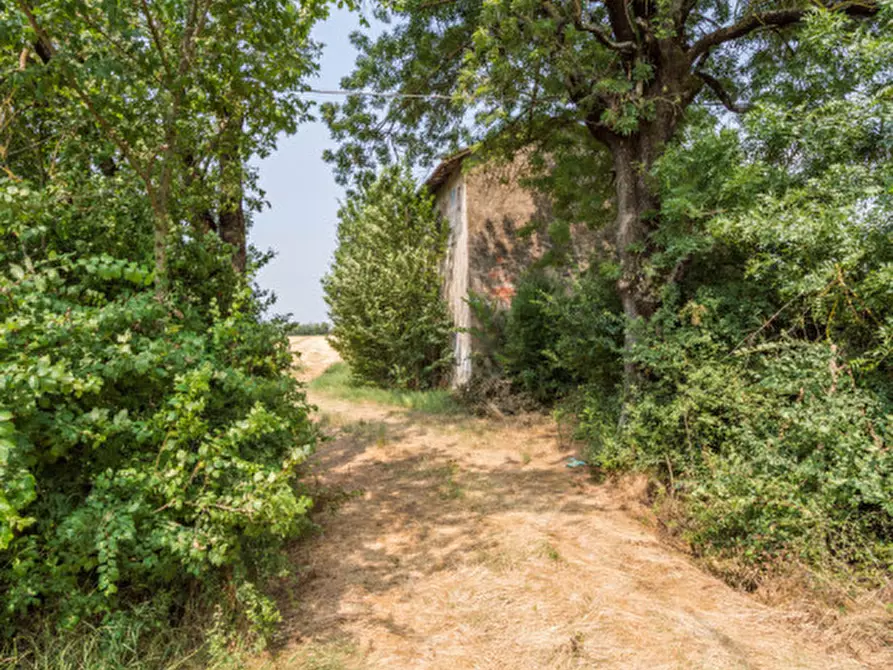 Immagine 12 di Rustico / casale in vendita  in VIA DEI MORTI 25 a Carpi