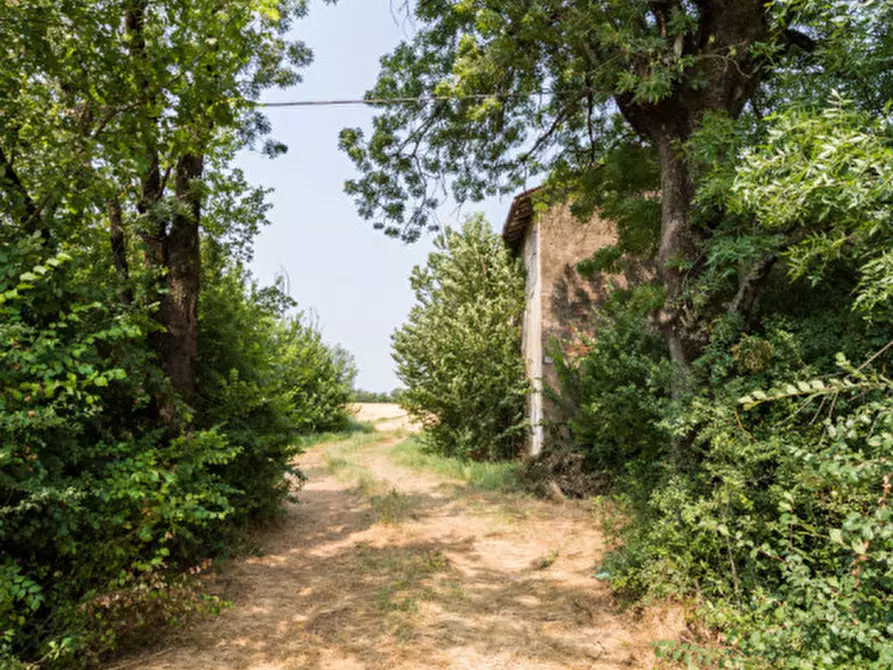 Immagine 13 di Rustico / casale in vendita  in VIA DEI MORTI 25 a Carpi