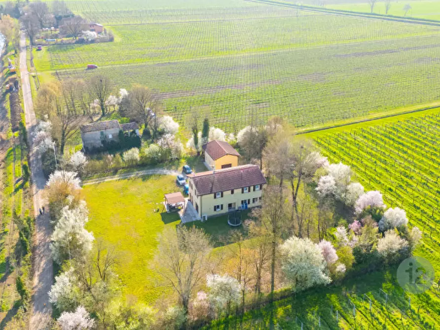 Immagine 3 di Casa indipendente in vendita  in Via Canale Migliarina 4 a Carpi