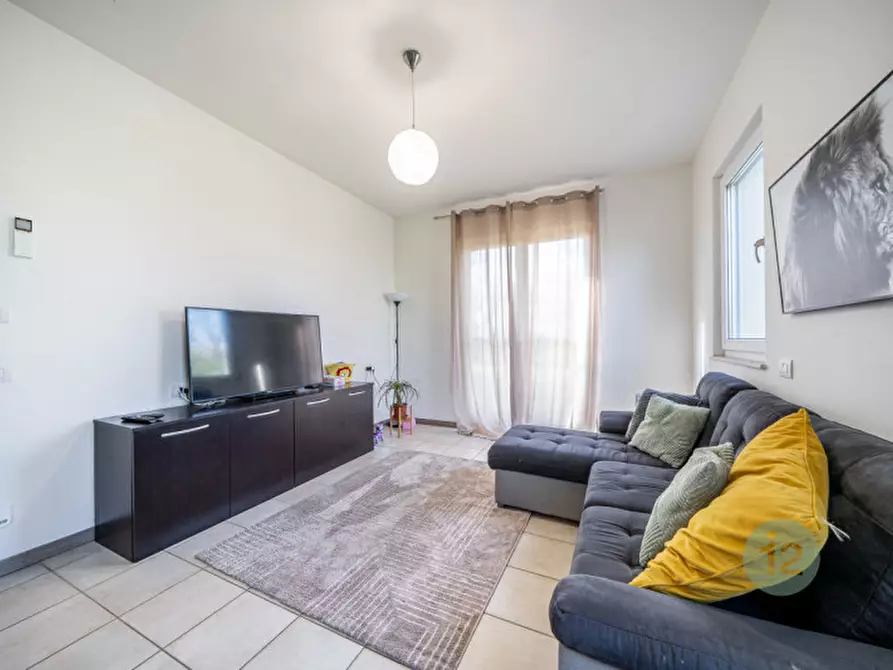 Immagine 33 di Casa indipendente in vendita  in Via Canale Migliarina 4 a Carpi