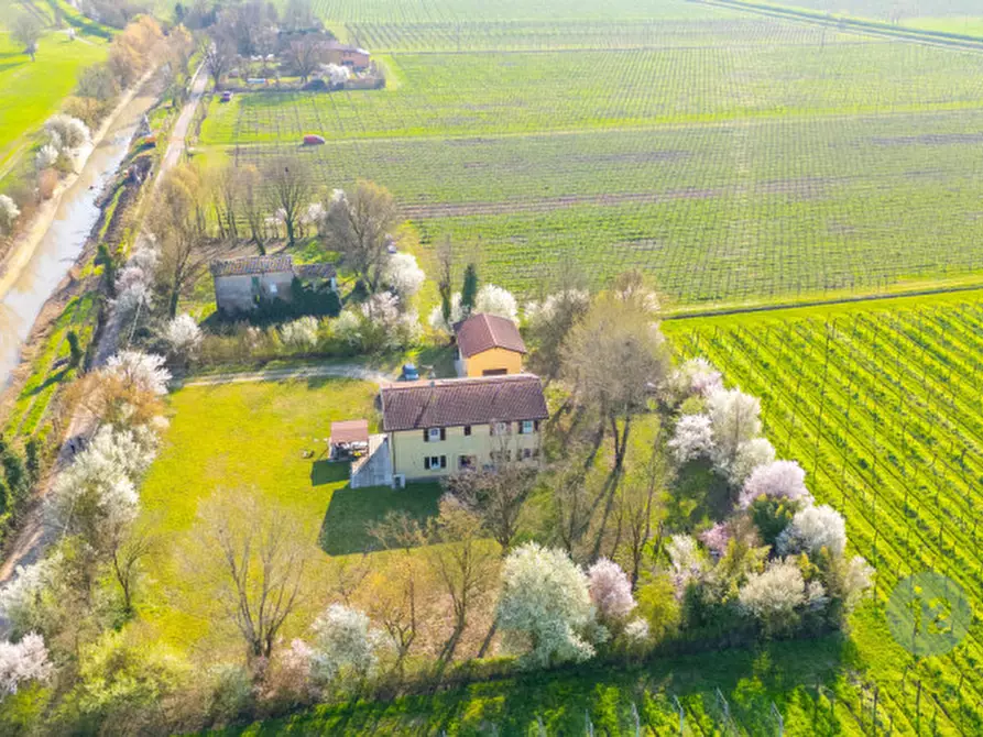 Immagine 45 di Casa indipendente in vendita  in Via Canale Migliarina 4 a Carpi