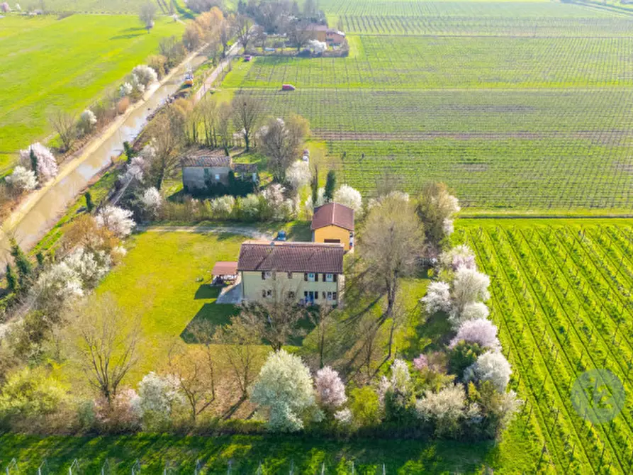 Immagine 46 di Casa indipendente in vendita  in Via Canale Migliarina 4 a Carpi