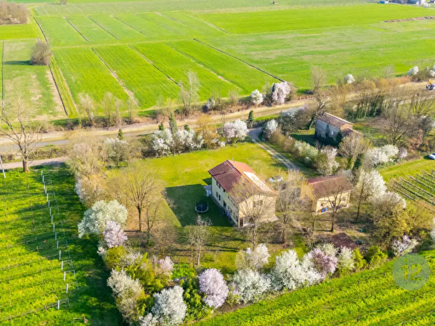 Immagine 50 di Casa indipendente in vendita  in Via Canale Migliarina 4 a Carpi