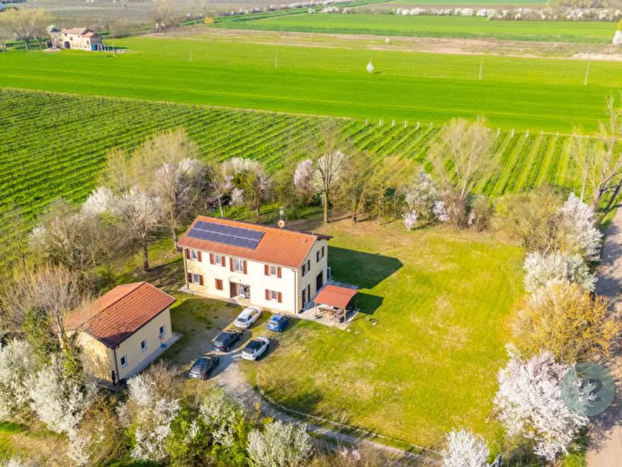 Immagine 61 di Casa indipendente in vendita  in Via Canale Migliarina 4 a Carpi