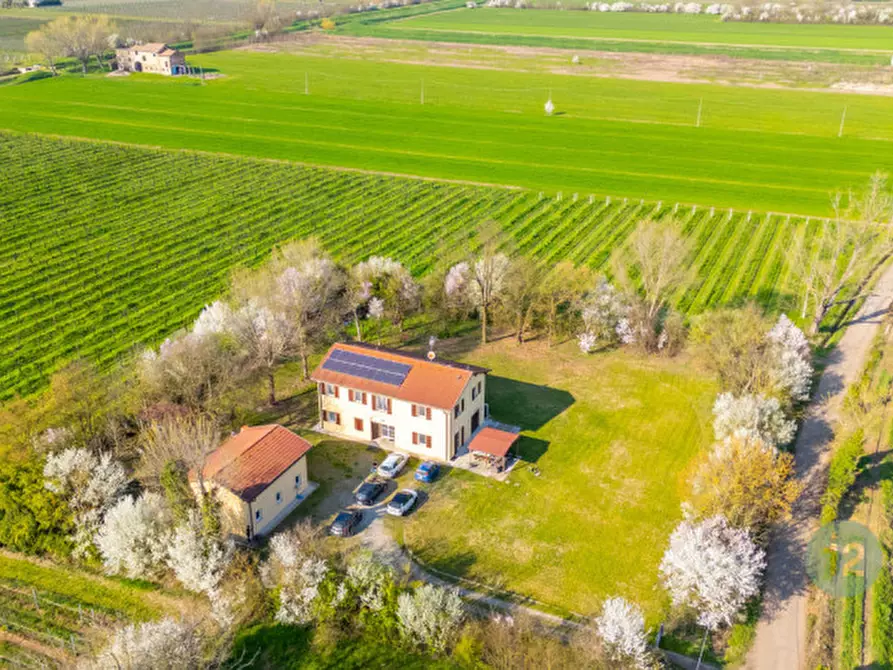 Immagine 64 di Casa indipendente in vendita  in Via Canale Migliarina 4 a Carpi
