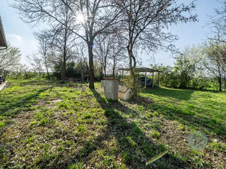 Immagine 81 di Casa indipendente in vendita  in Via Canale Migliarina 4 a Carpi
