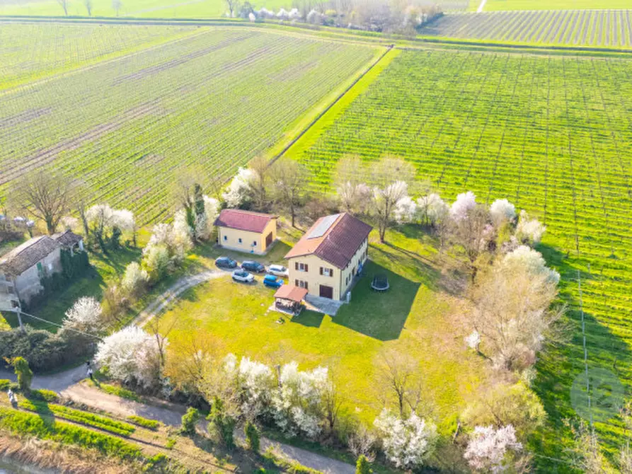 Immagine 88 di Casa indipendente in vendita  in Via Canale Migliarina 4 a Carpi
