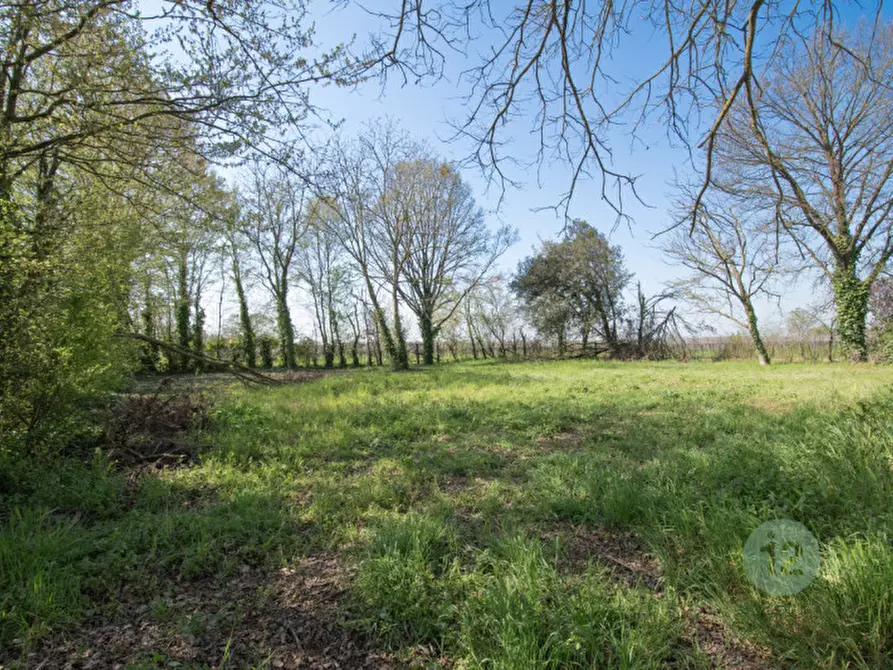 Immagine 6 di Rustico / casale in vendita  in VIA CANALE DI MIGLIARINA 3 a Carpi