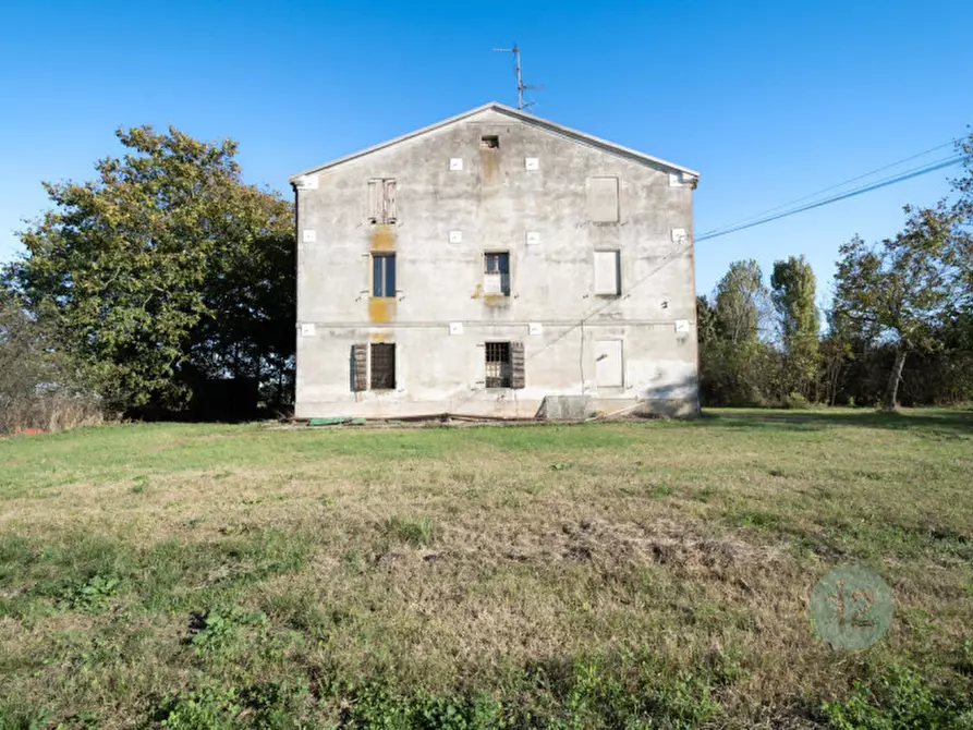 Immagine 3 di Rustico / casale in vendita  a Novi Di Modena