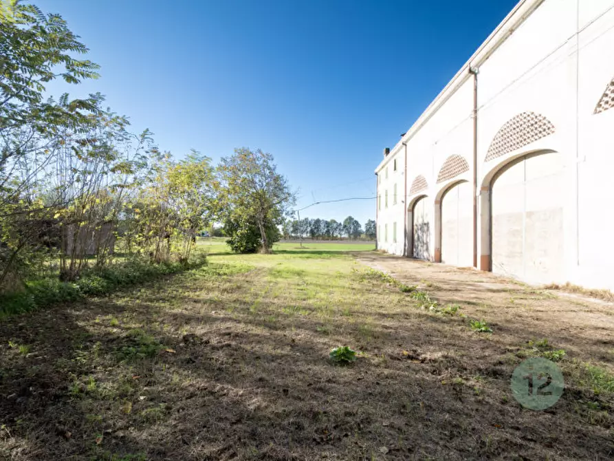 Immagine 6 di Rustico / casale in vendita  a Novi Di Modena