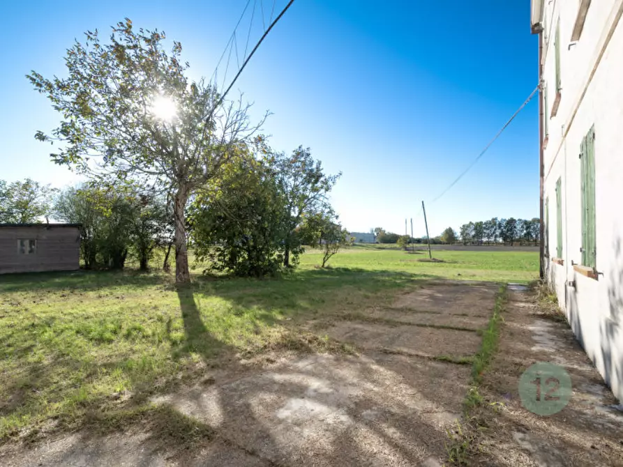 Immagine 8 di Rustico / casale in vendita  a Novi Di Modena