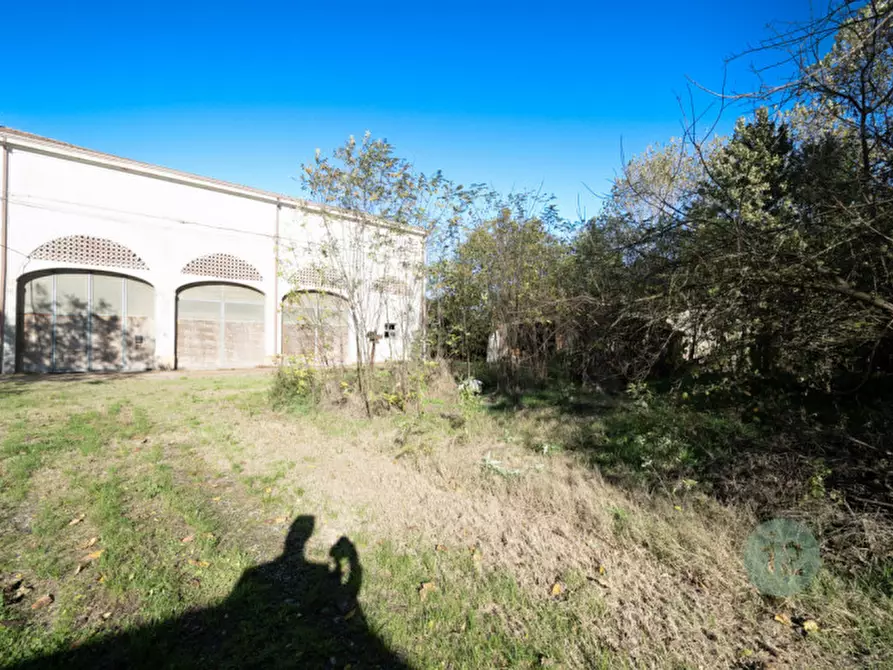Immagine 20 di Rustico / casale in vendita  a Novi Di Modena