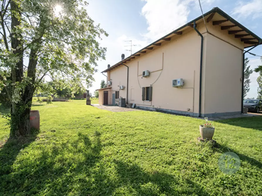 Immagine 6 di Casa indipendente in vendita  in via dei morti 6a a Carpi