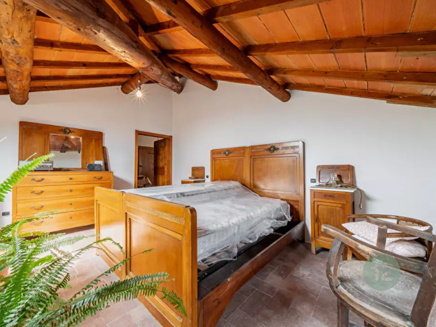 Immagine 75 di Villa in vendita  in Via Zoldi 1 a Novi Di Modena