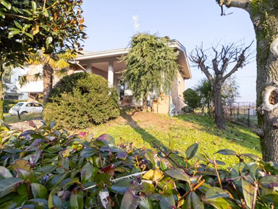 Immagine 2 di Casa indipendente in vendita  in Via 1 Dicembre 1944 a Carpi
