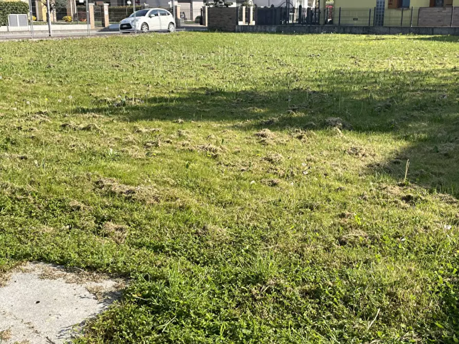Immagine 2 di Terreno in vendita  in Via delle Mimose 18 a Vigonovo