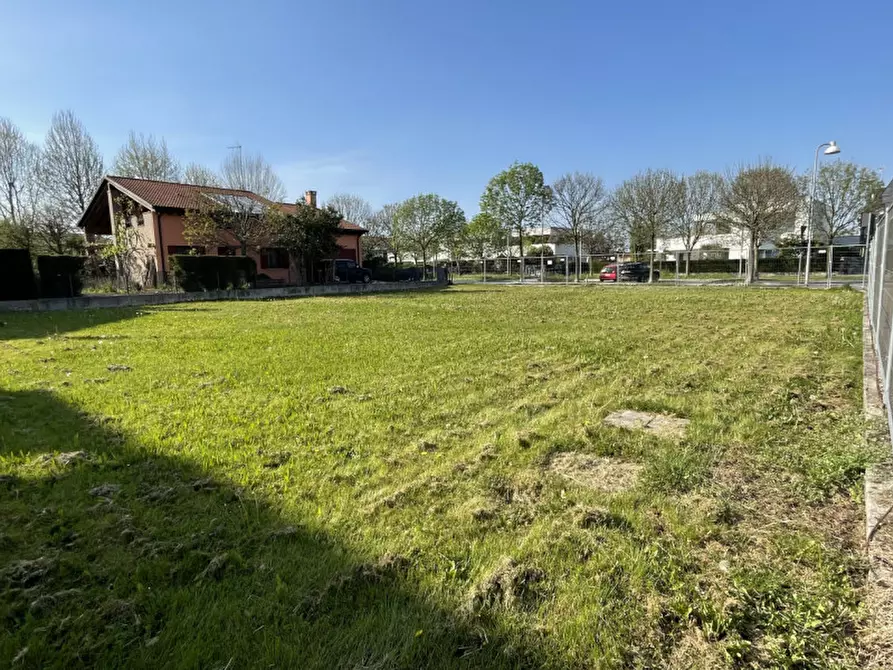 Immagine 3 di Terreno in vendita  in Via delle Mimose 18 a Vigonovo