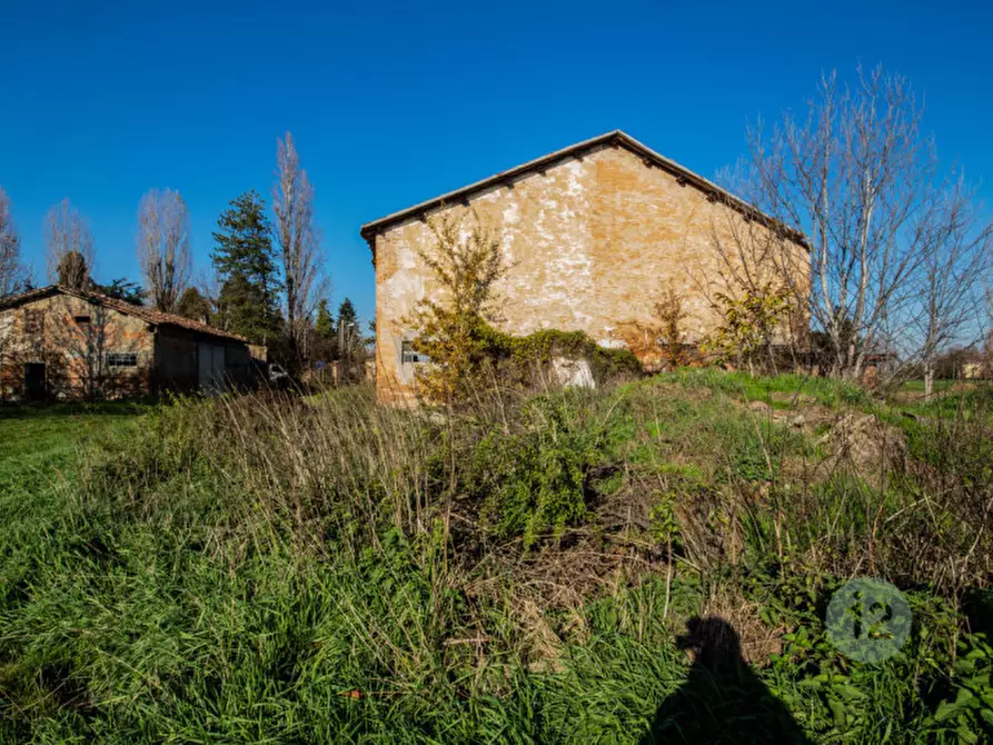 Immagine 4 di Rustico / casale in vendita  a Correggio