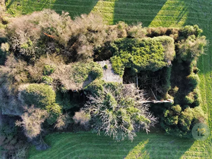 Immagine 4 di Rustico / casale in vendita  in statale per reggio a Correggio
