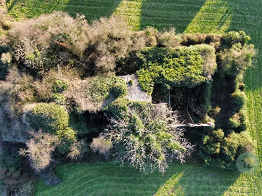 Immagine 5 di Rustico / casale in vendita  in statale per reggio a Correggio