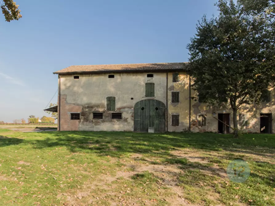 Immagine 3 di Rustico / casale in vendita  a Correggio