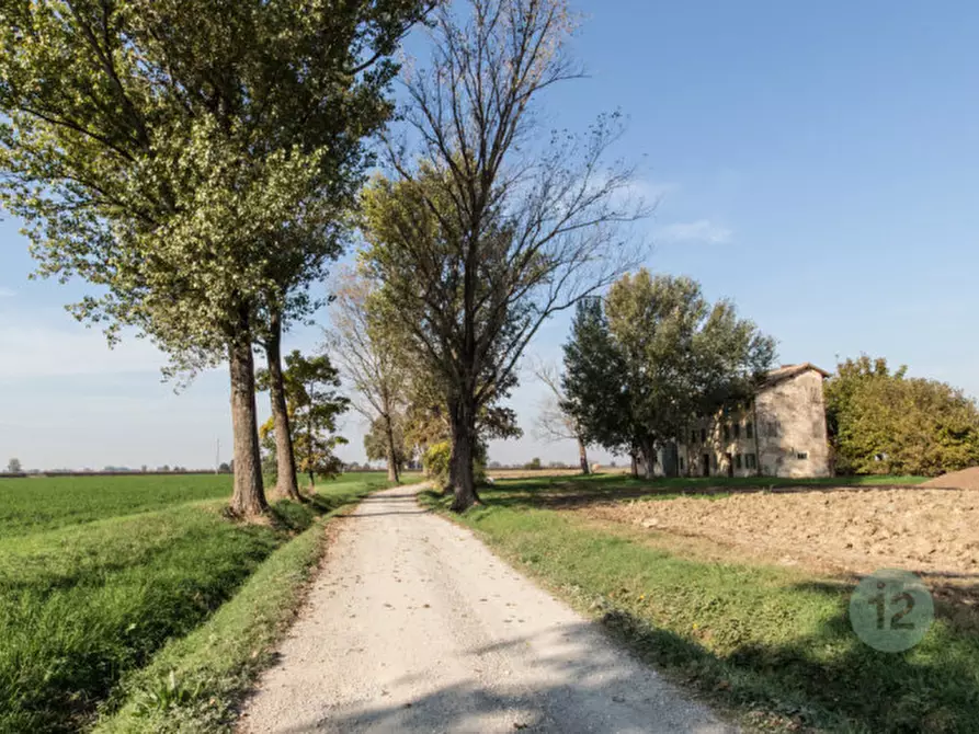 Immagine 14 di Rustico / casale in vendita  a Correggio