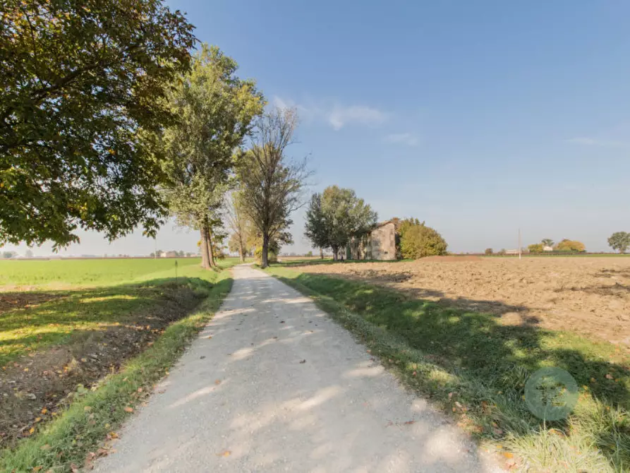 Immagine 15 di Rustico / casale in vendita  a Correggio