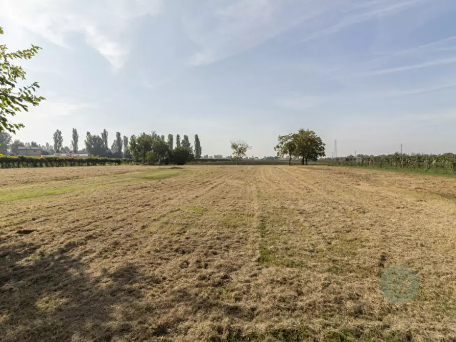 Immagine 23 di Casa indipendente in vendita  in Stradello Fortunata 5 a Carpi