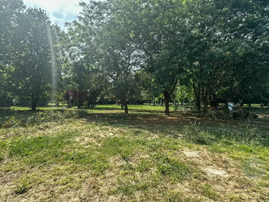 Immagine 6 di Villetta a schiera in vendita  in via Bersana a Carpi