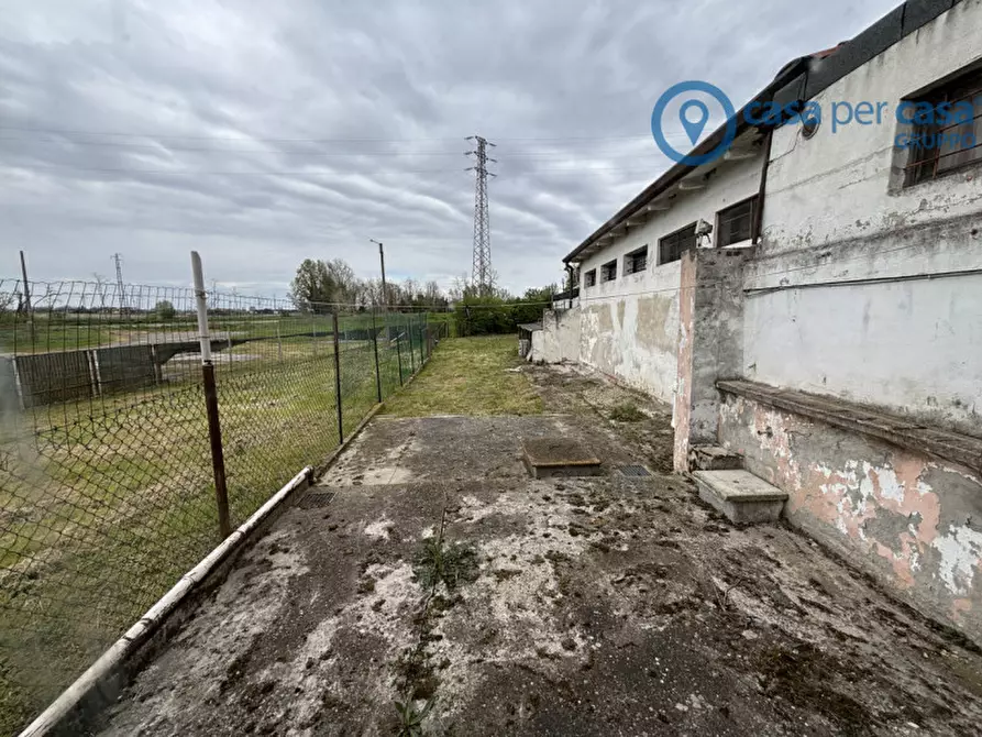 Immagine 9 di Villetta a schiera in vendita  a Bosaro