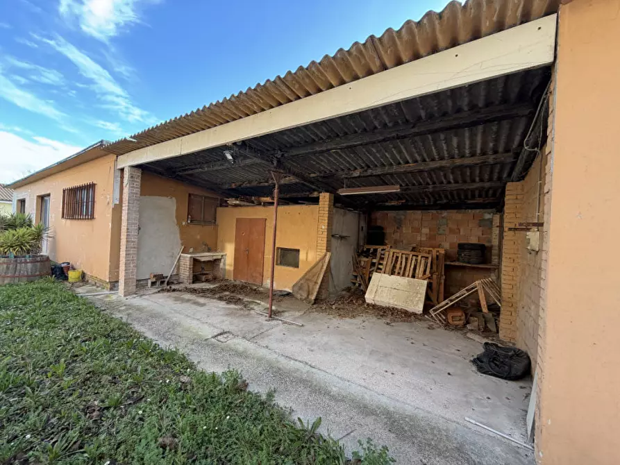 Immagine 18 di Appartamento in vendita  a Senigallia