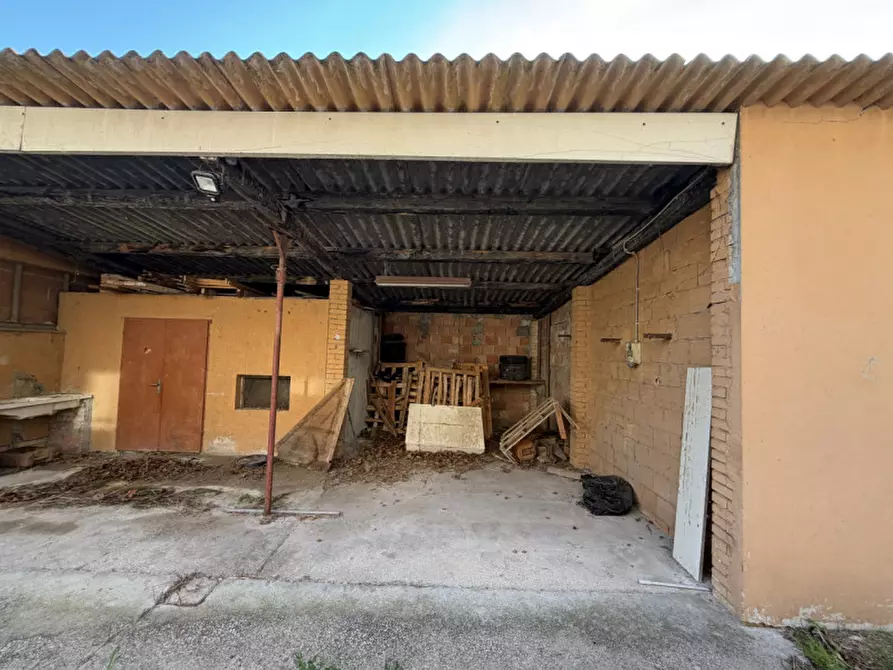 Immagine 19 di Appartamento in vendita  a Senigallia