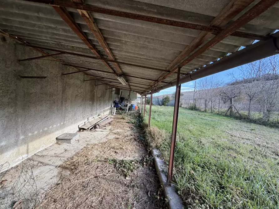 Immagine 25 di Appartamento in vendita  a Senigallia