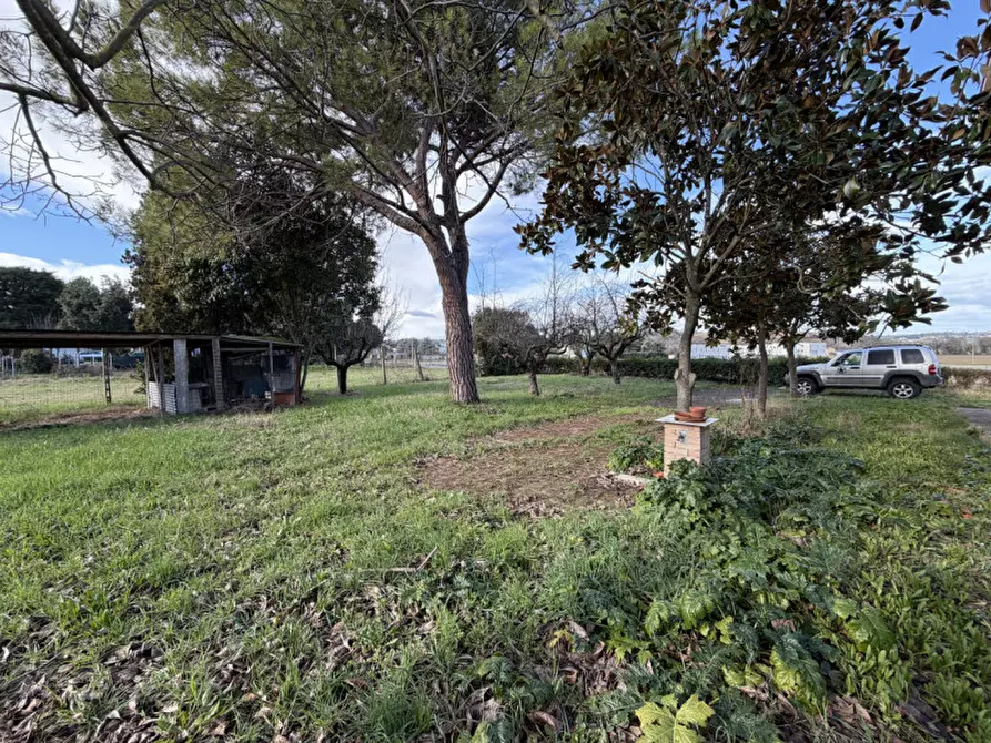 Immagine 26 di Appartamento in vendita  a Senigallia