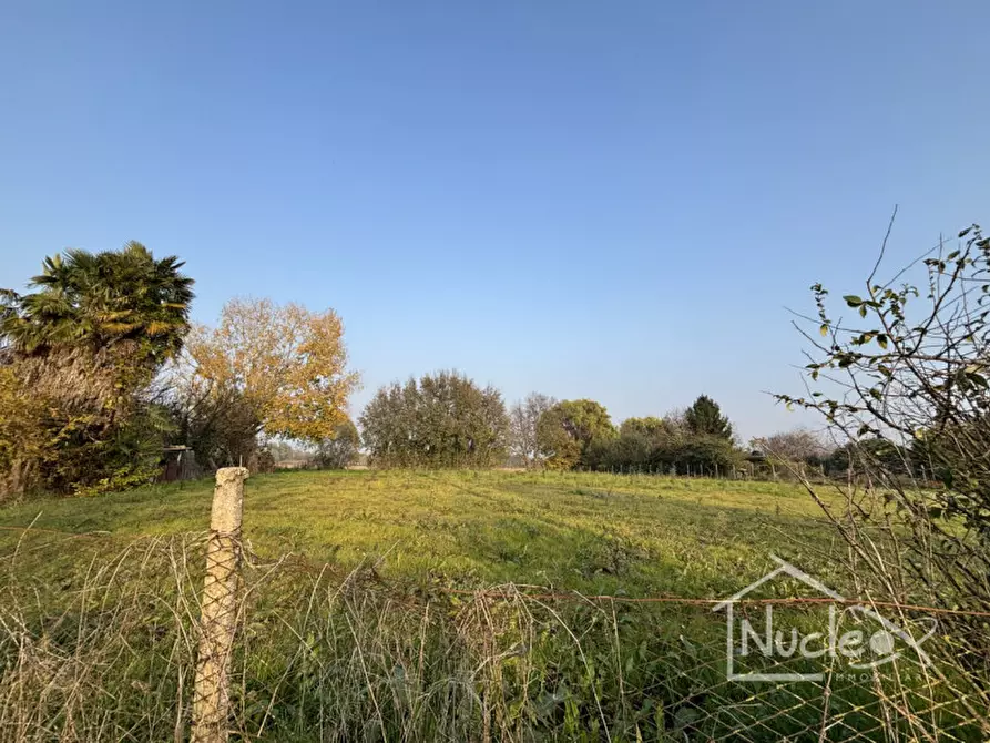 Immagine 2 di Terreno in vendita  a Sant'elena