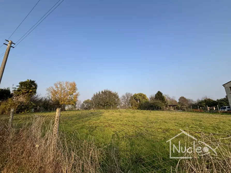 Immagine 3 di Terreno in vendita  a Sant'elena