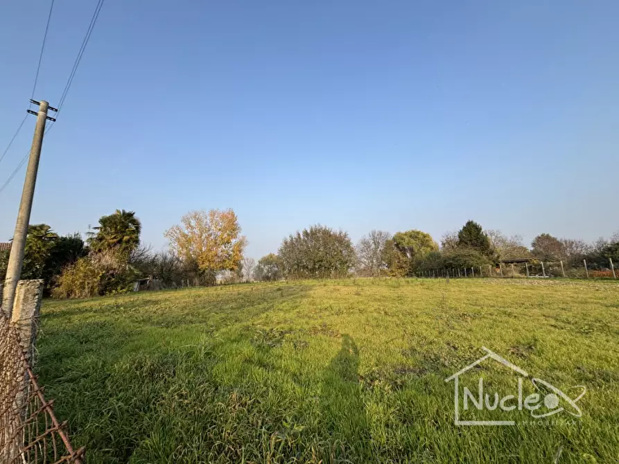 Immagine 4 di Terreno in vendita  a Sant'elena