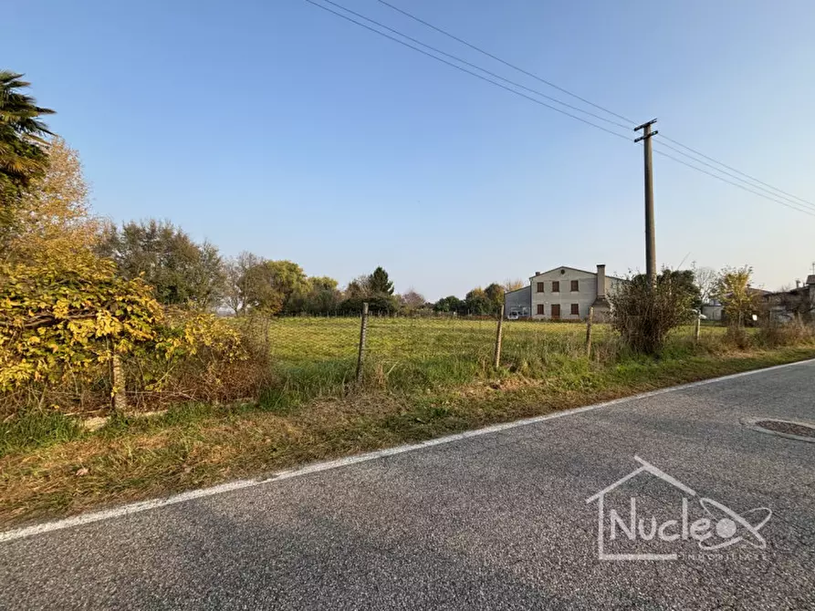 Immagine 5 di Terreno in vendita  a Sant'elena